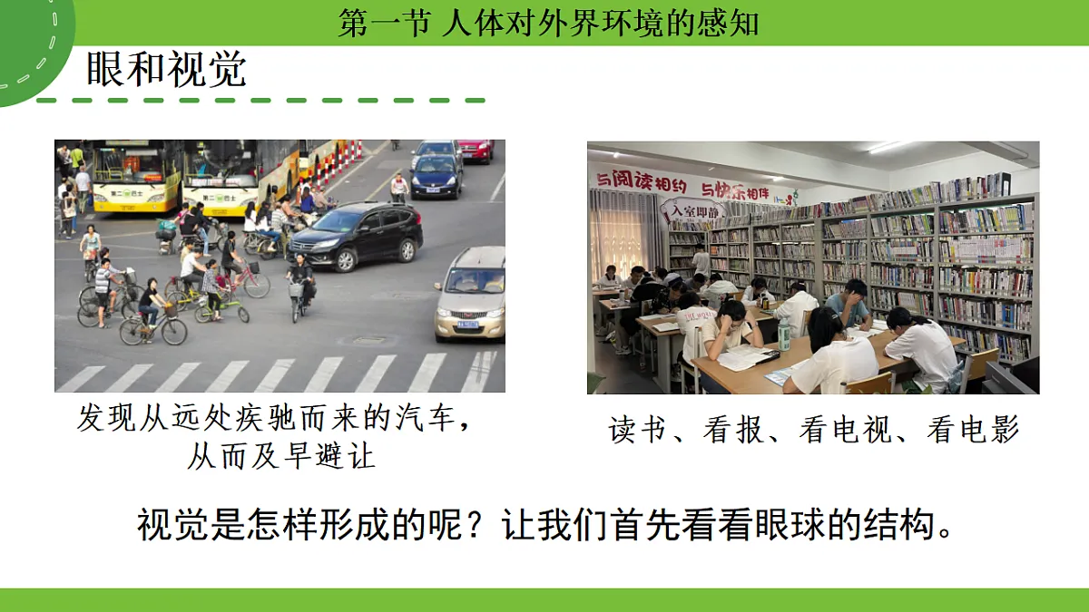 17264401第7页