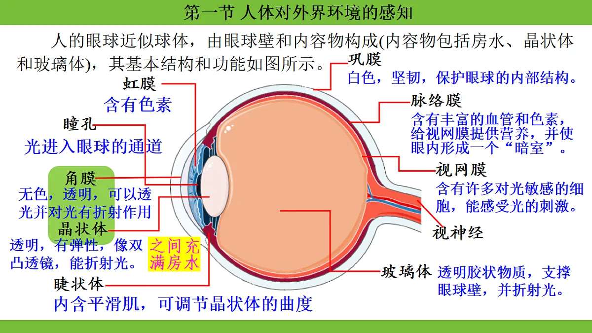 17264401第8页