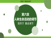 人教版（2024）生物八年级上册 4.6.4 激素调节 (课件）