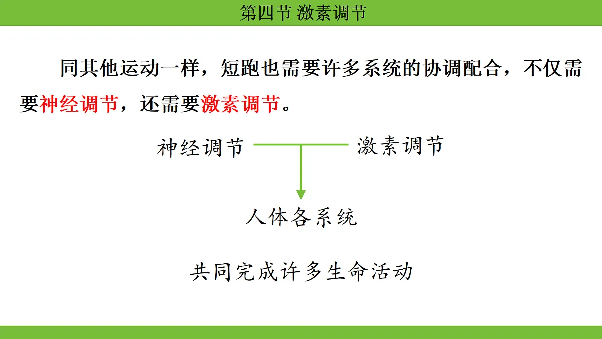 17264403第4页