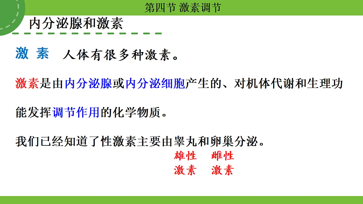 17264403第5页