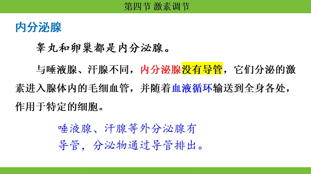 17264403第6页