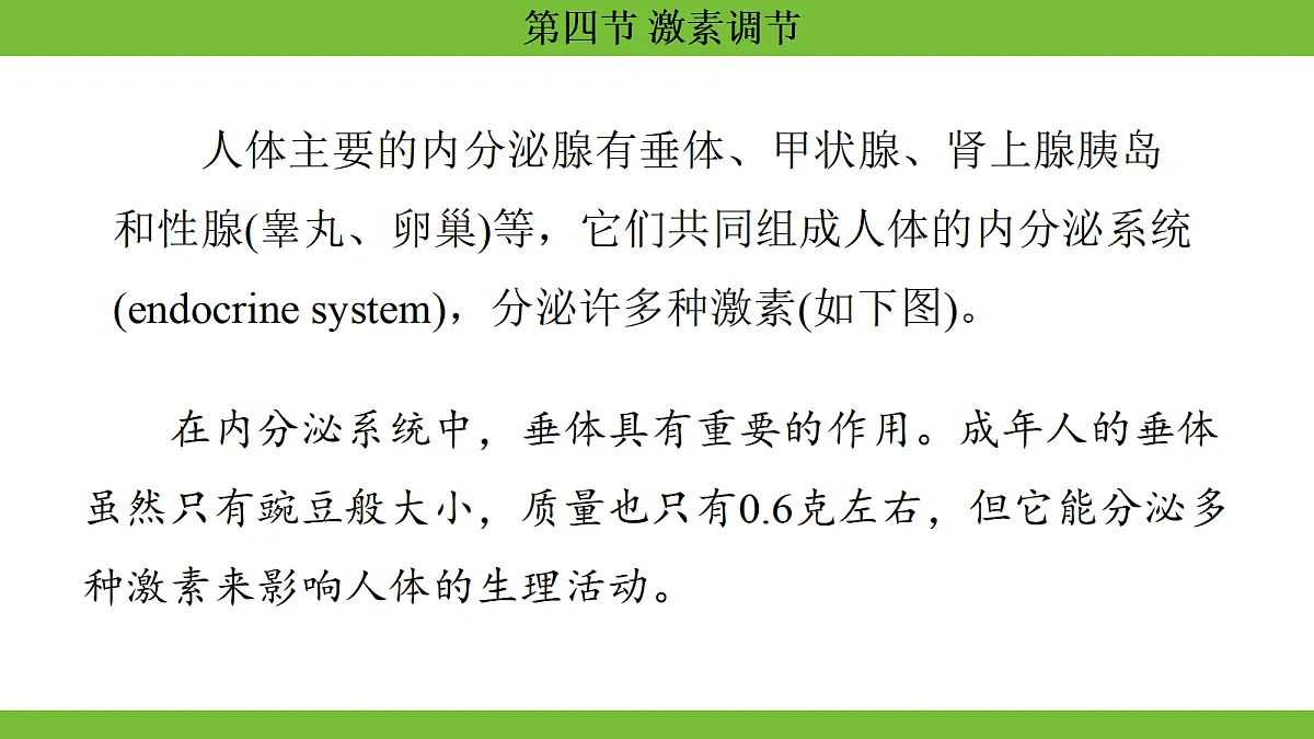 17264403第7页