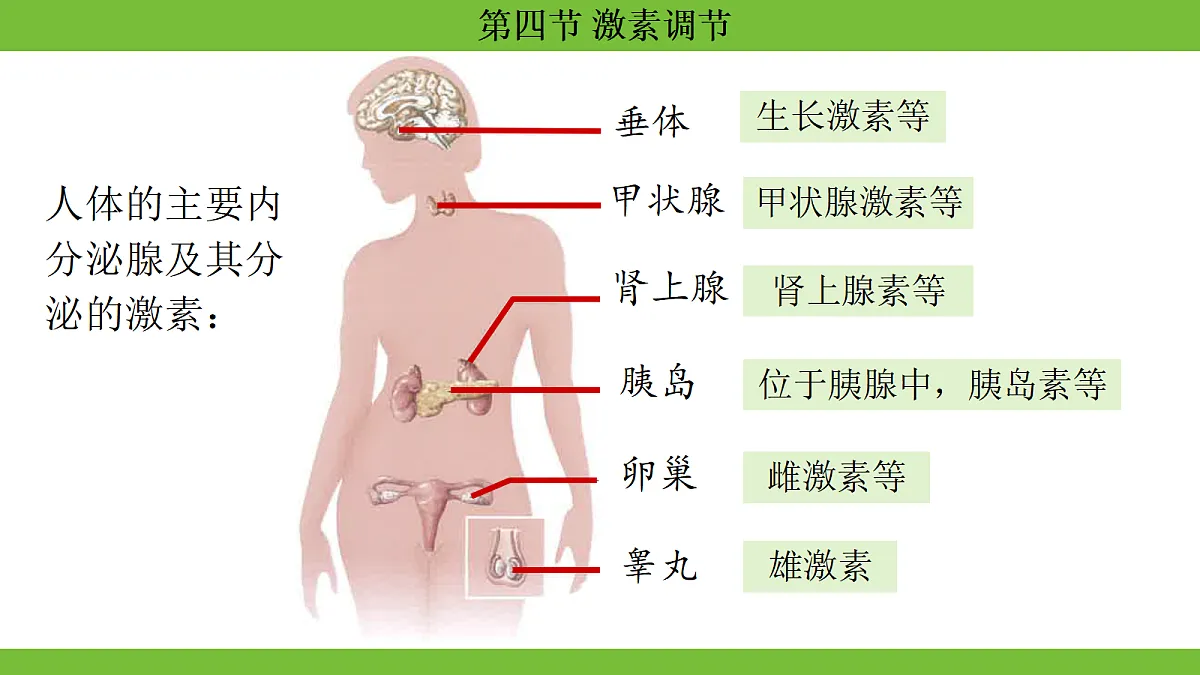 17264403第8页