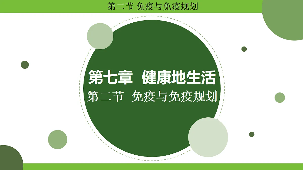 17264405第1页