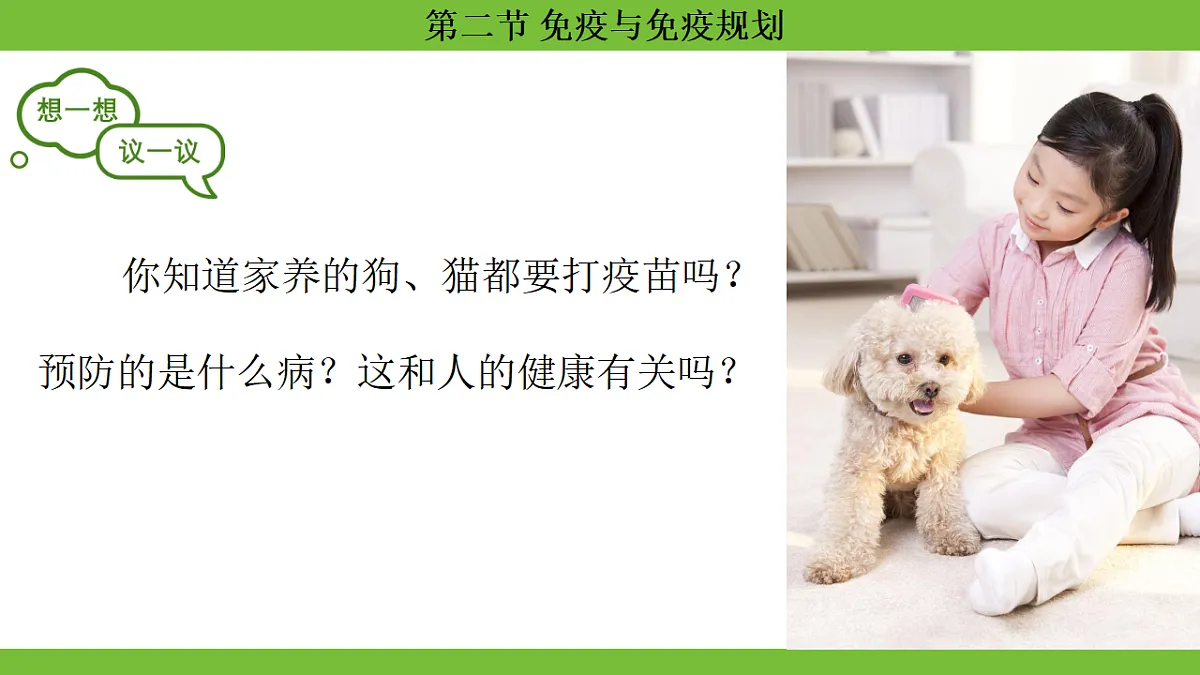 17264405第2页