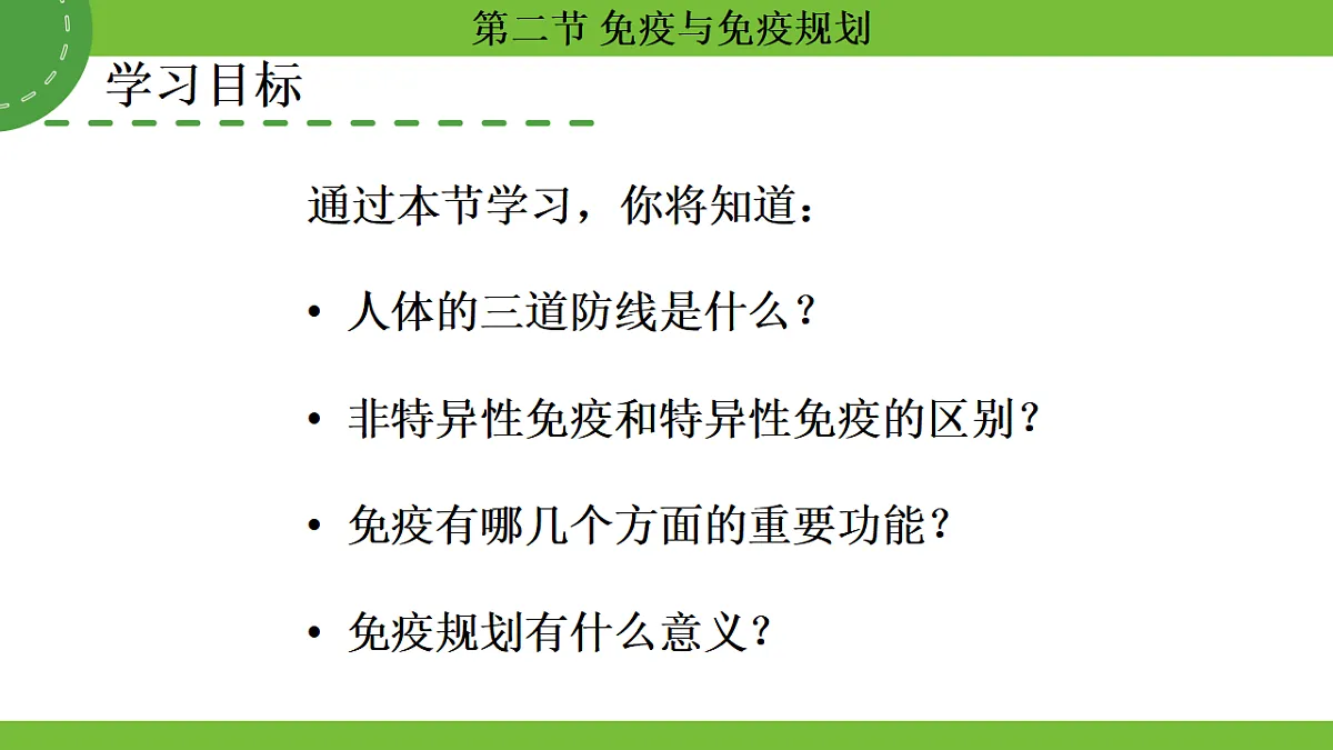 17264405第3页
