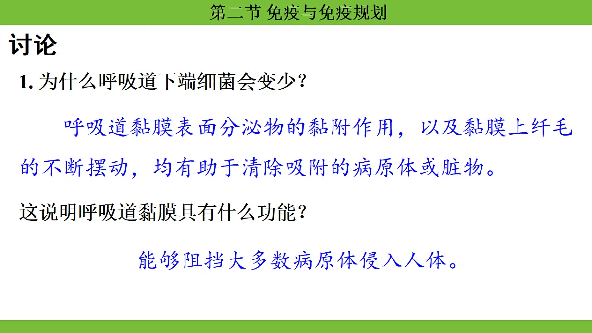 17264405第6页