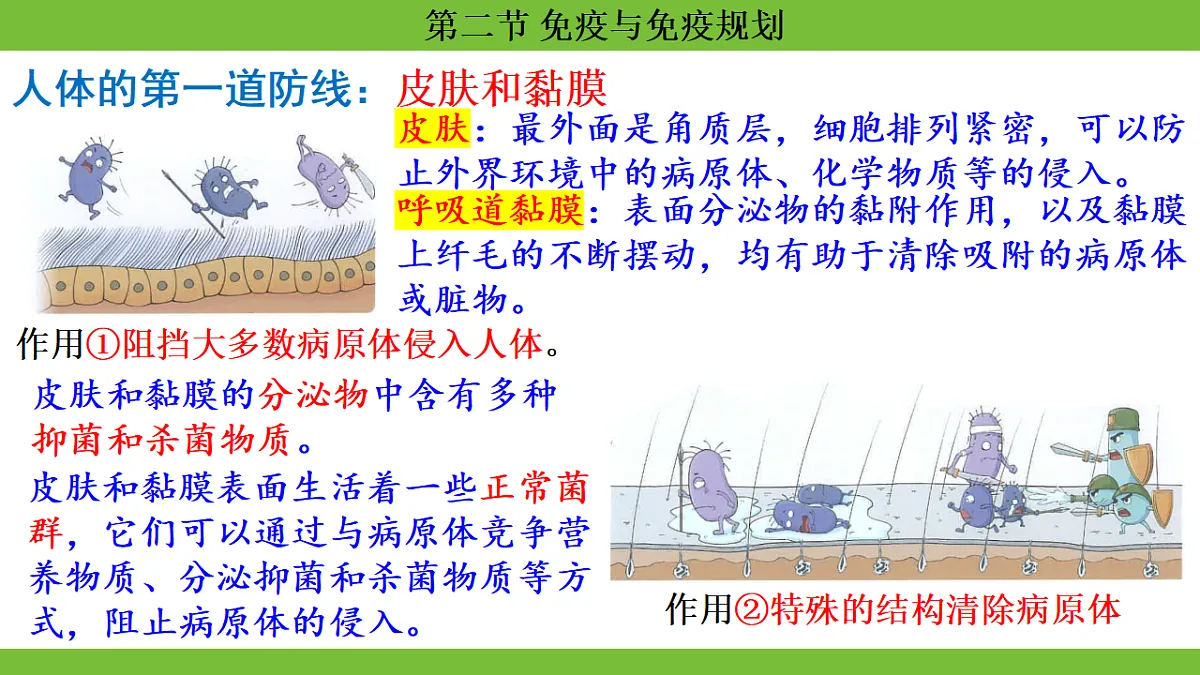 17264405第7页