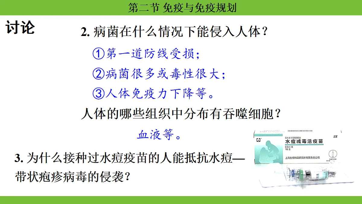 17264405第8页