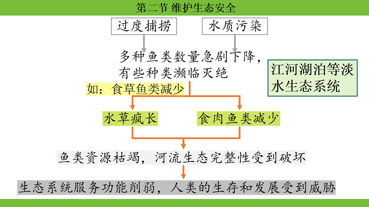 17264407第5页