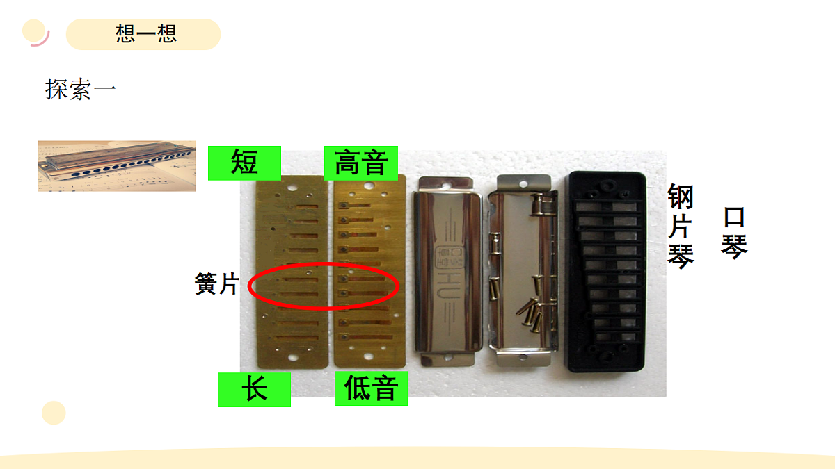 17265303第5页