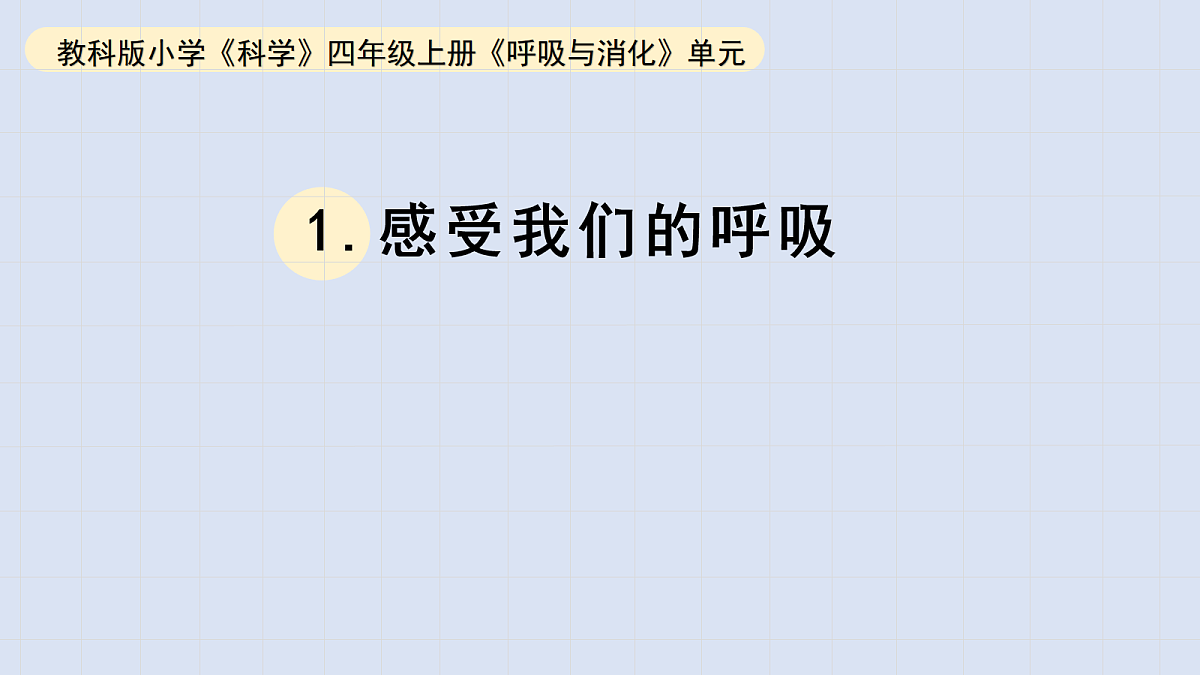 17265307第1页