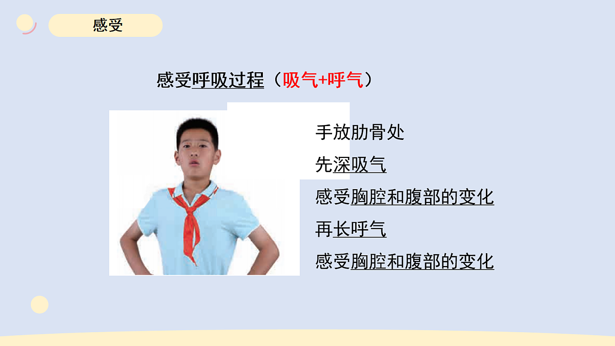 17265307第5页