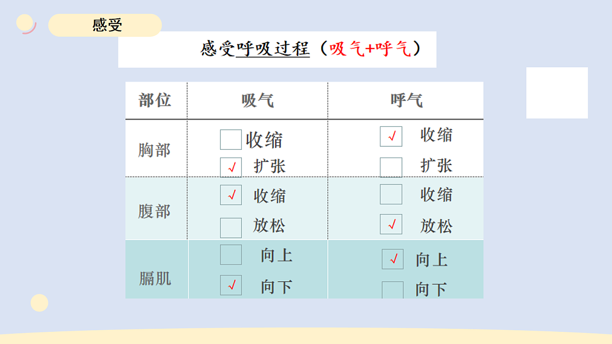 17265307第6页