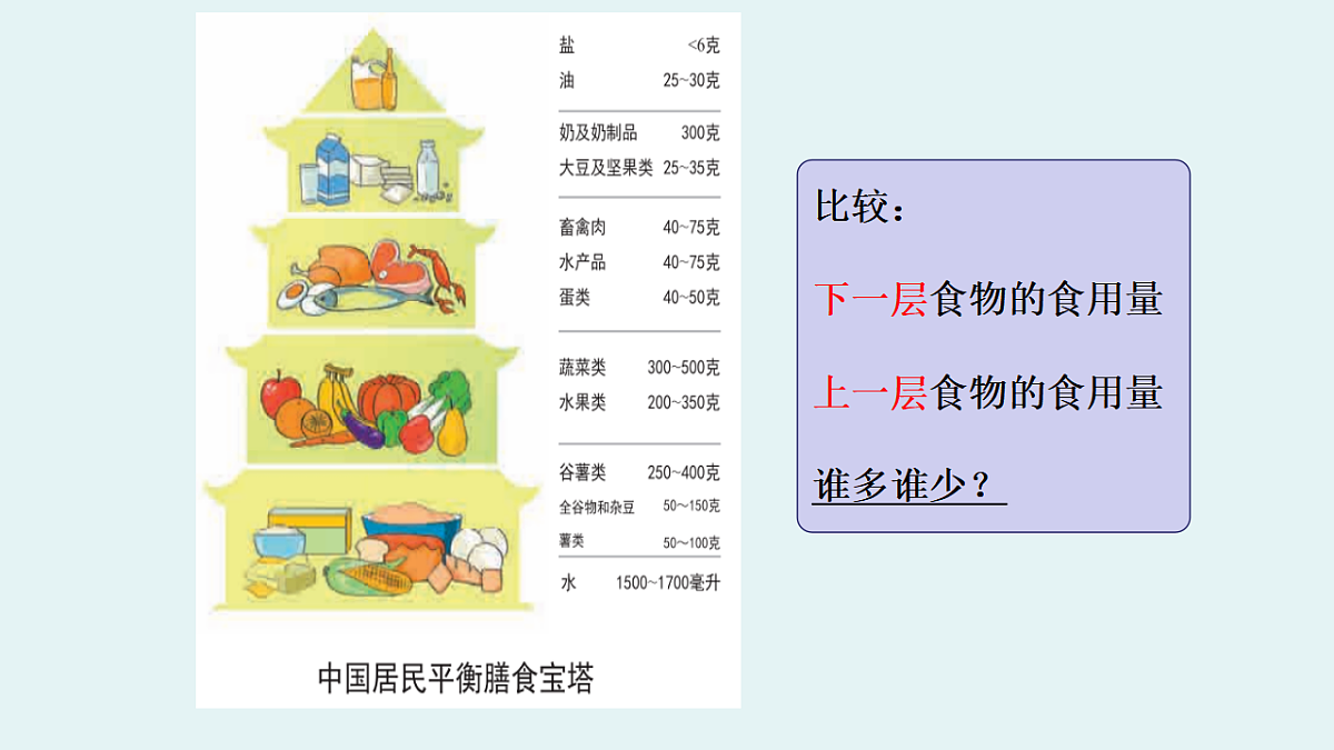 17265312第5页