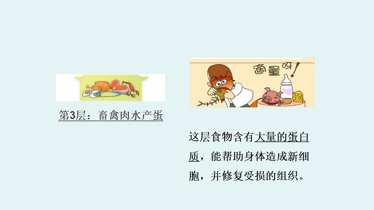 17265312第8页