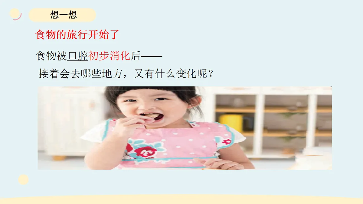 17265315第2页