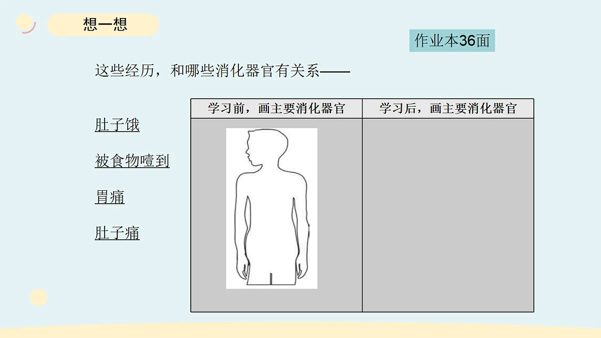 17265315第3页