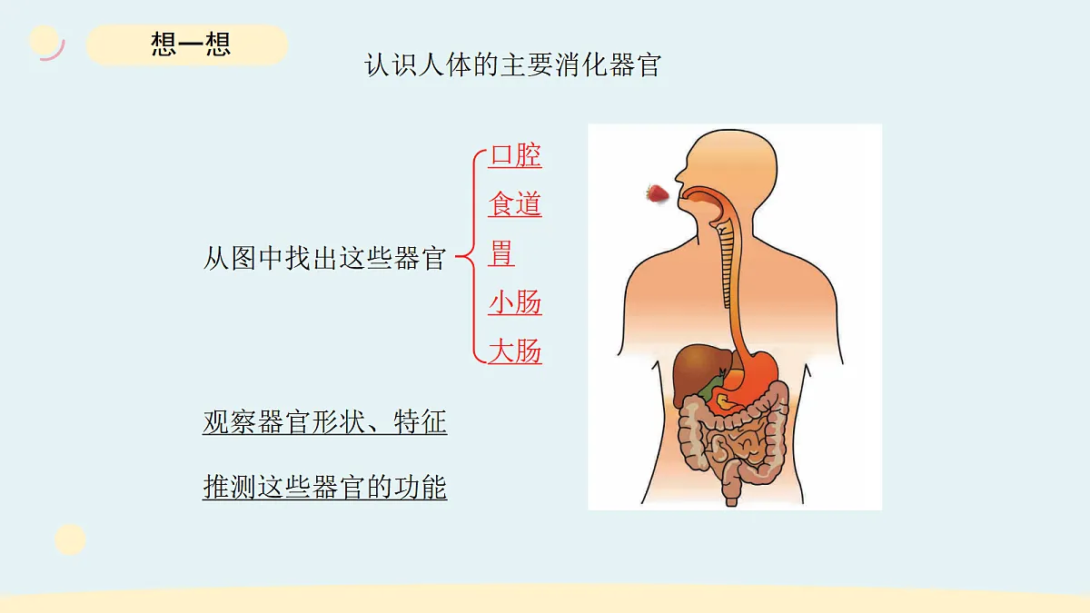 17265315第4页