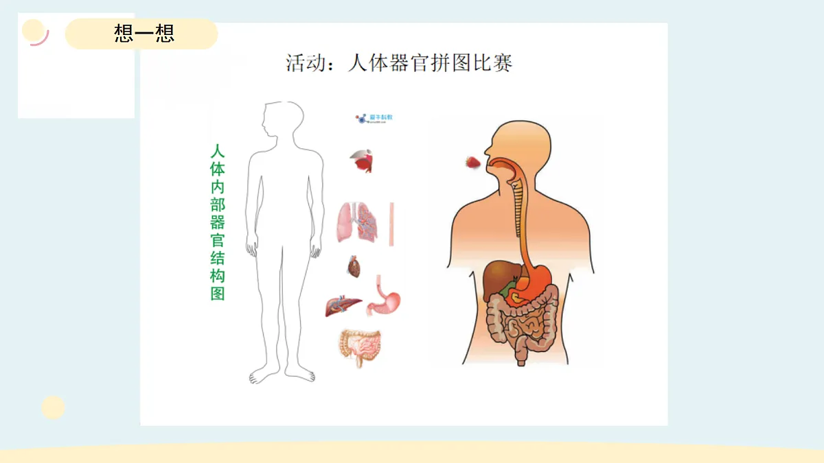 17265315第6页