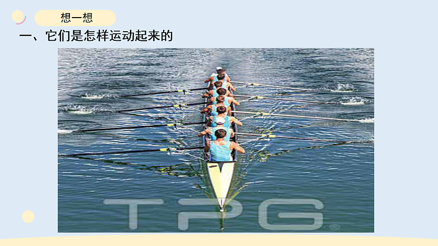 17265316第3页