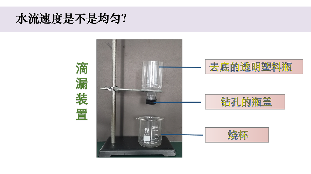 17265517第3页
