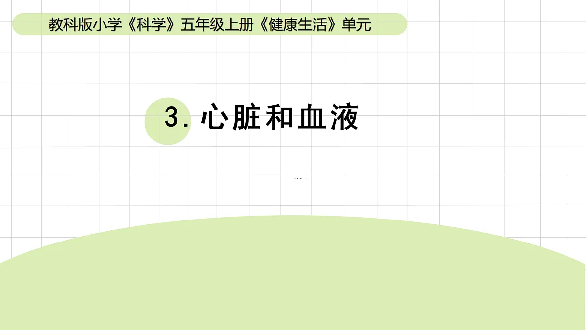 17265528第1页