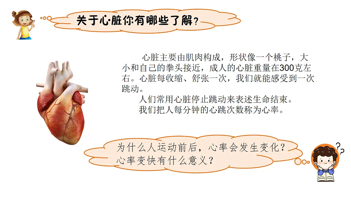 17265528第4页