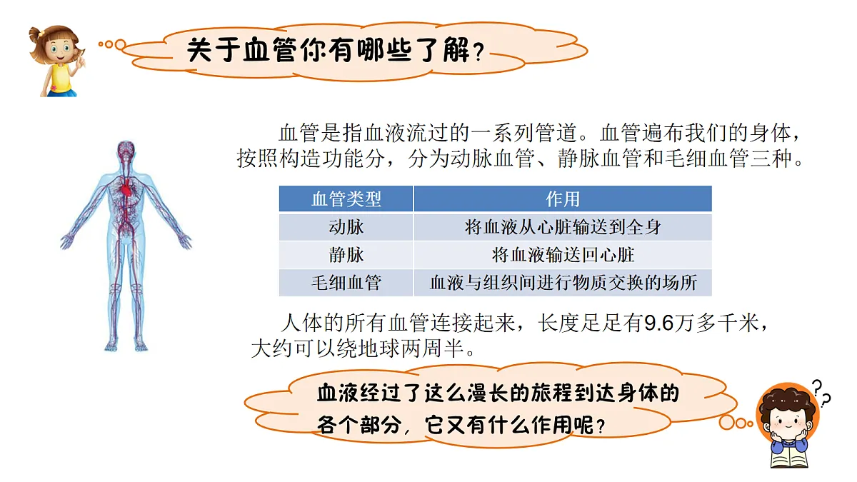 17265528第5页