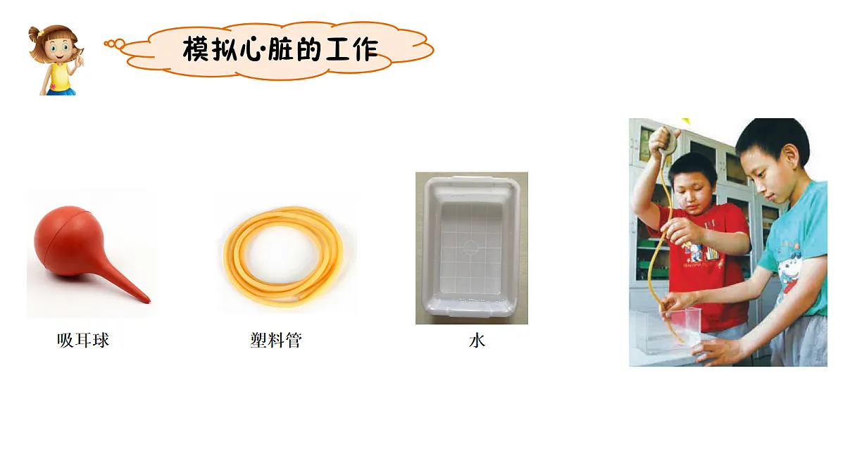 17265528第7页