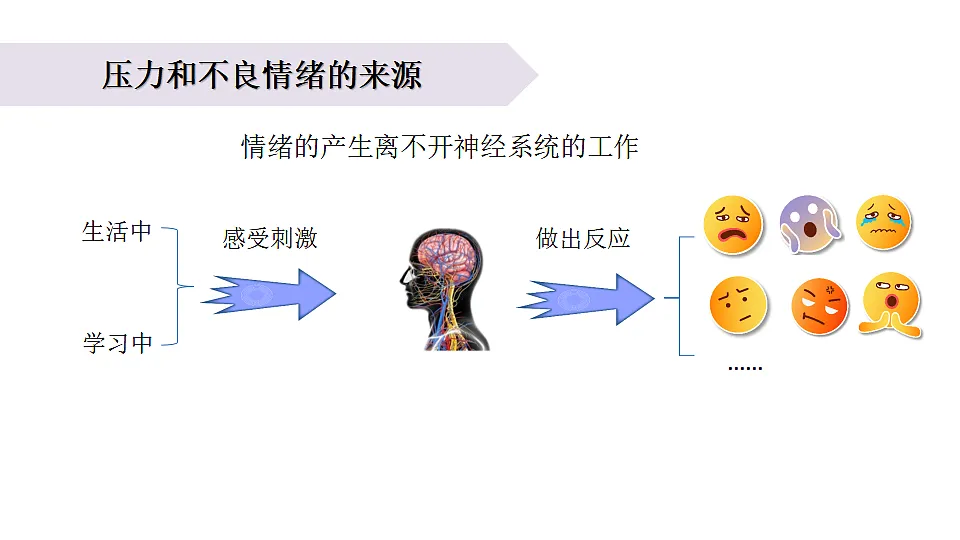 17265532第3页
