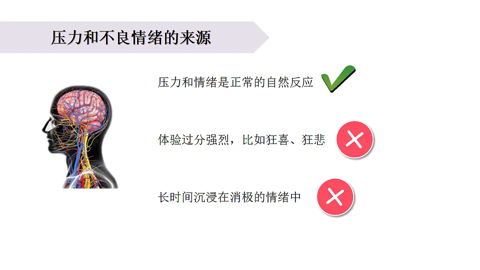 17265532第4页