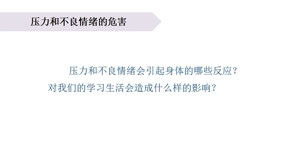 17265532第5页