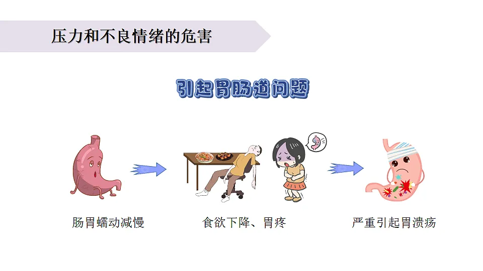 17265532第8页