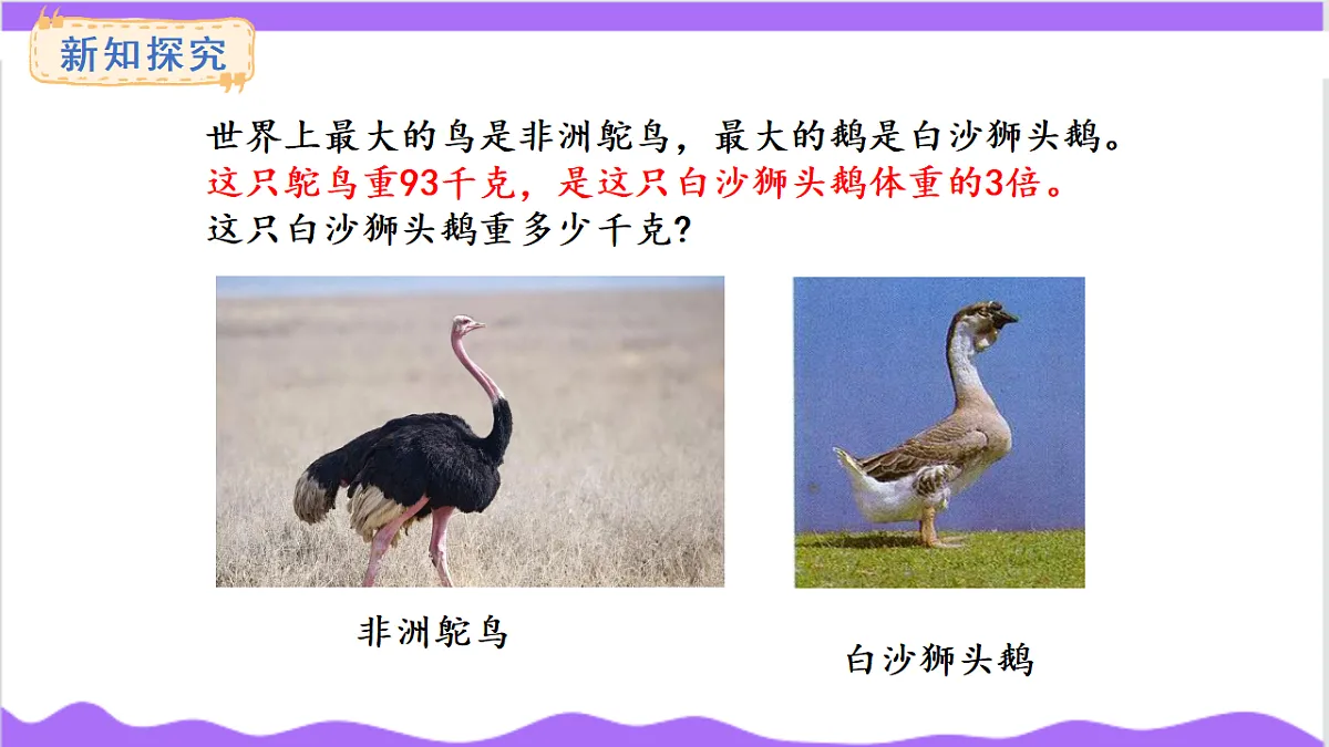 17266021第3页