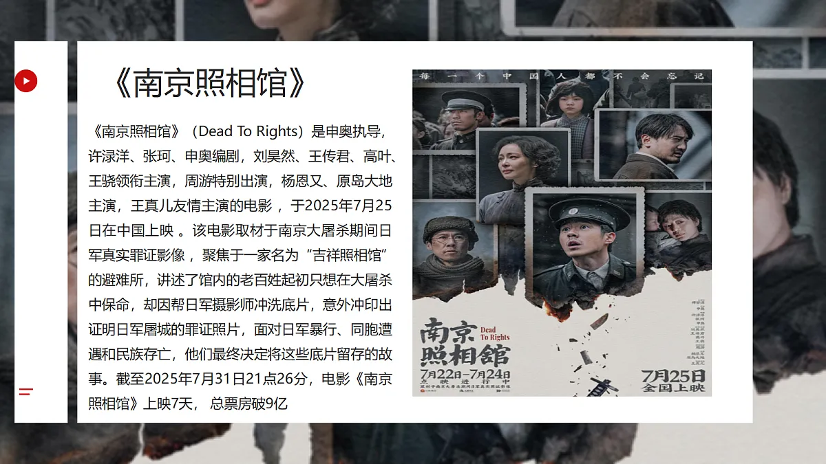 17266047第3页