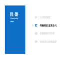 女生青春期專題講座性教育健康知識自我保護培訓(xùn)課件-2025-2026學(xué)年初中高中心理健康教育主題班會課件