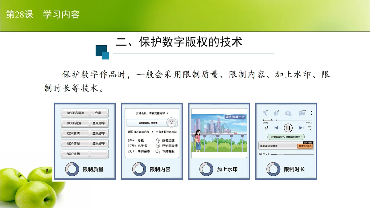 17266110第7页