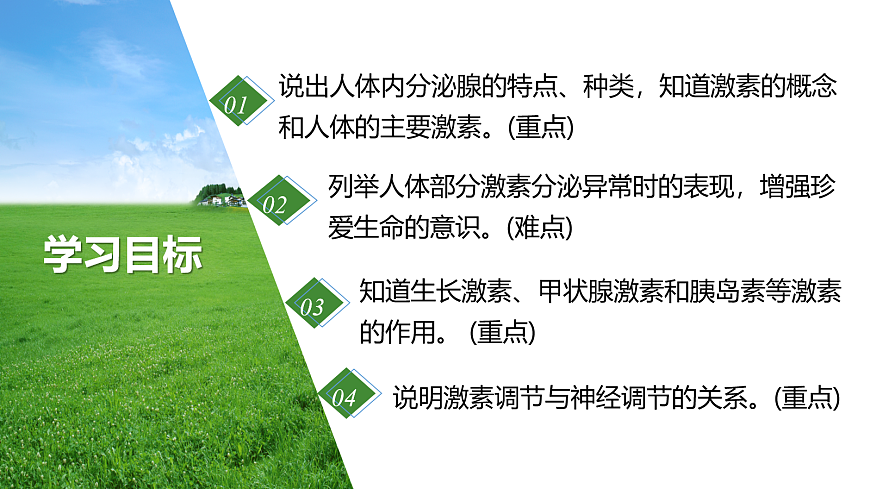 17268317第2页