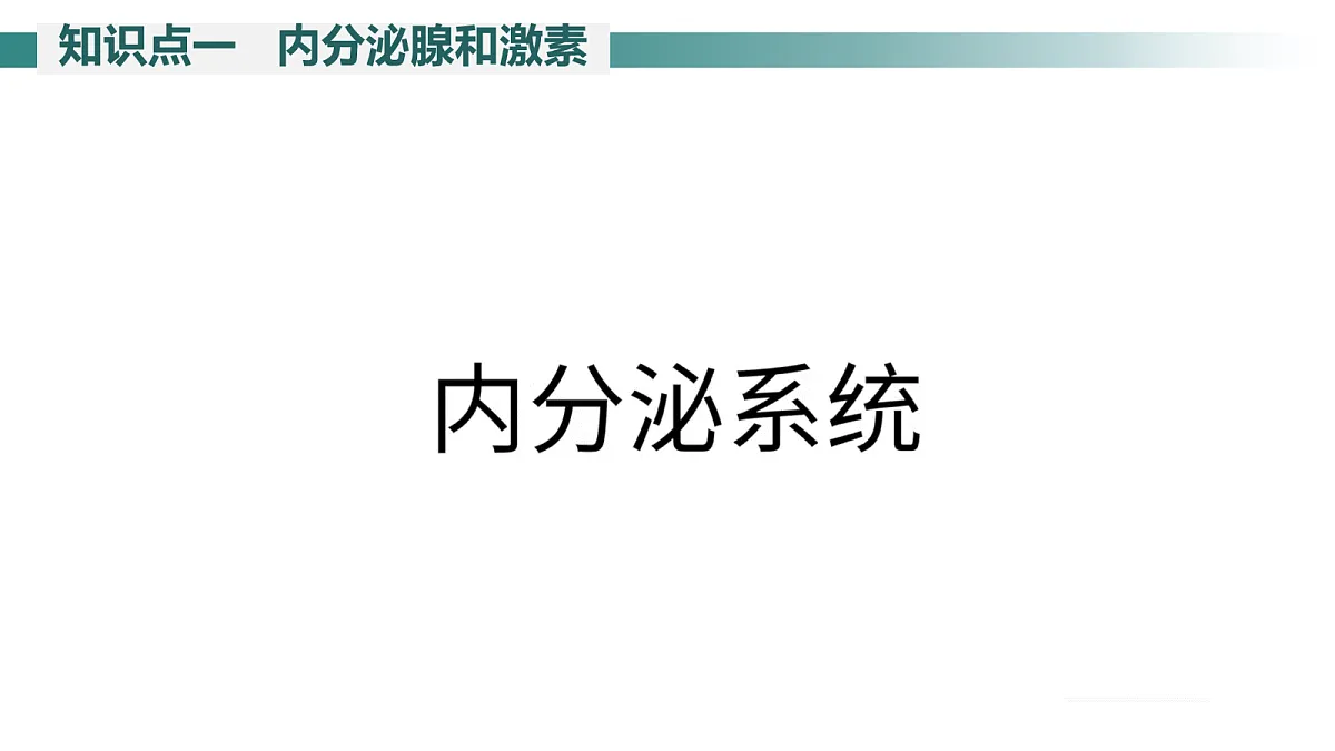 17268317第4页