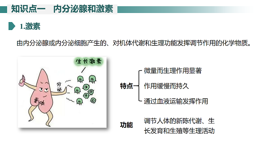 17268317第5页