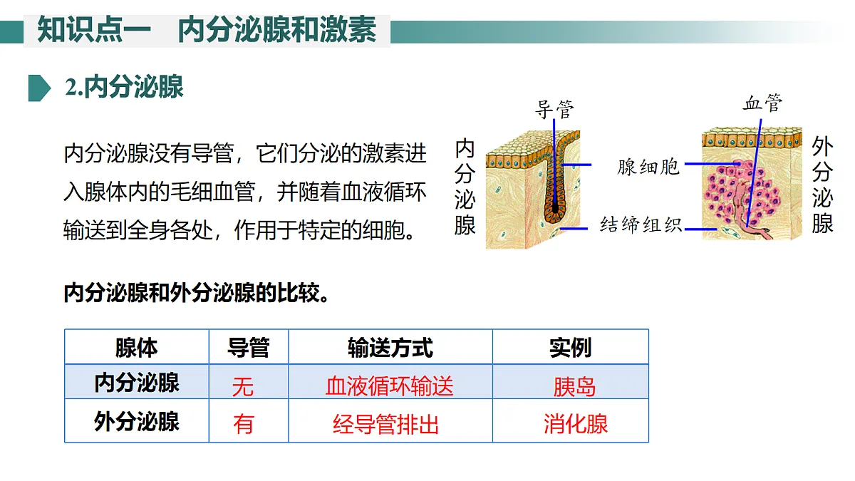 17268317第6页