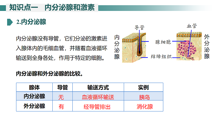 17268317第6页