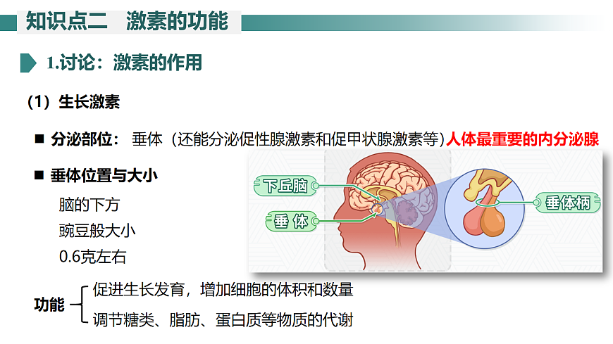 17268317第8页