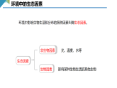 2025~2026学年人教版生物八年级上册5.1.1.1 环境中的生态因素及非生物因素对生物的影响课件