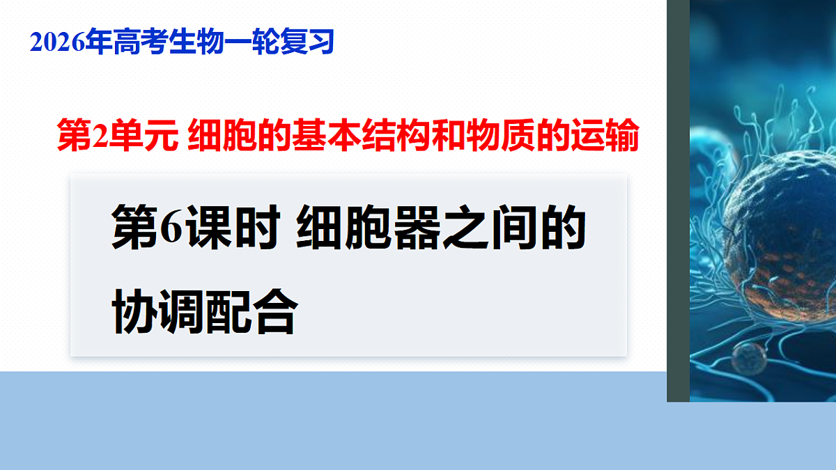 17268666第1页