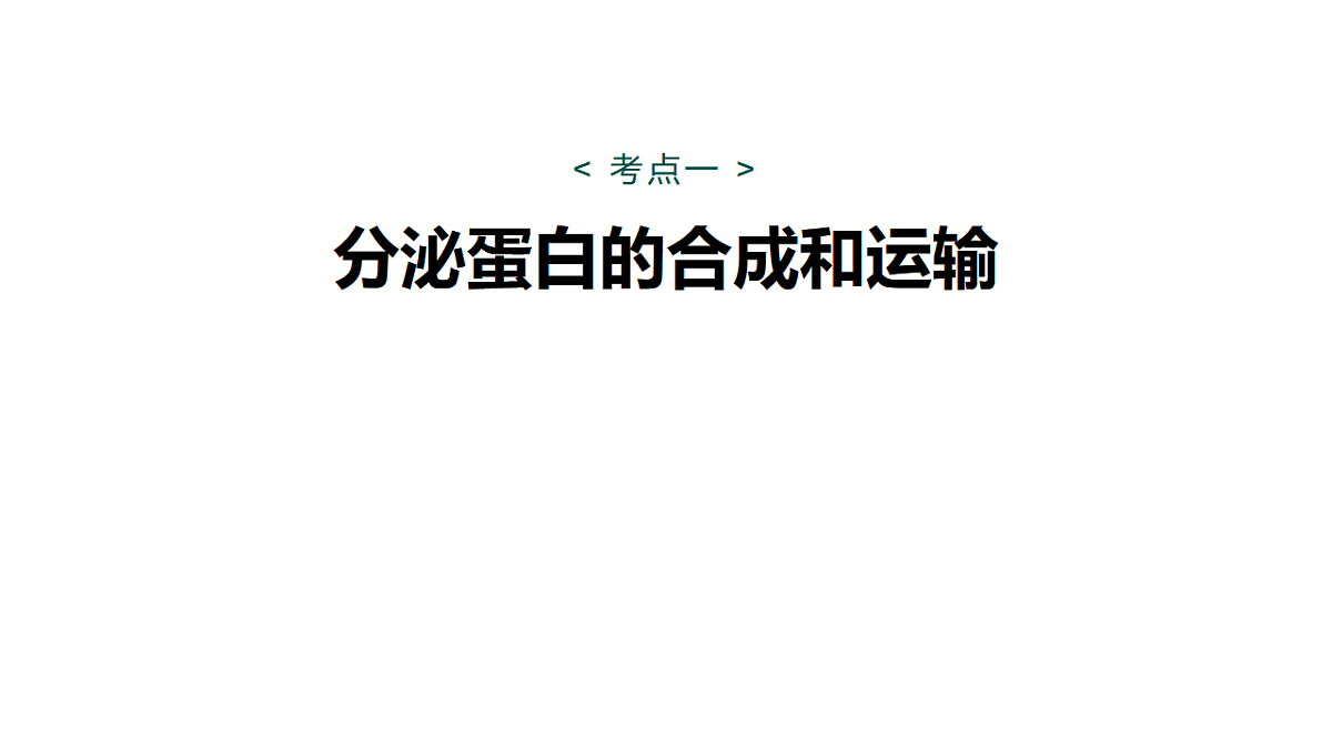 17268666第5页
