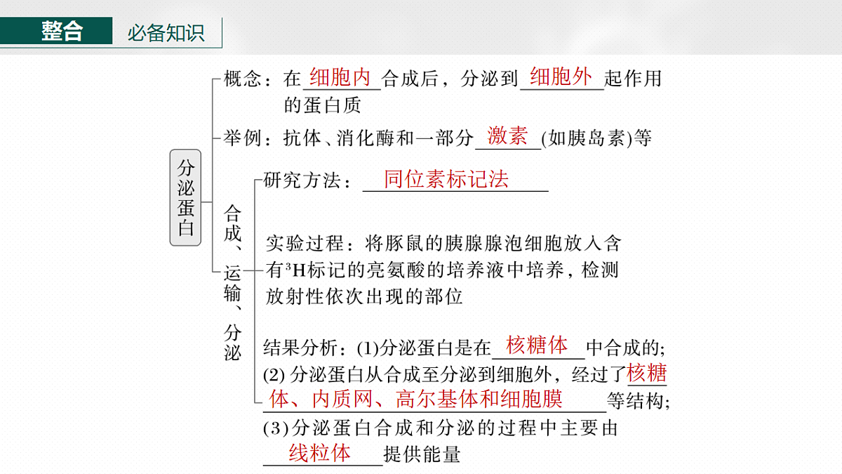17268666第6页