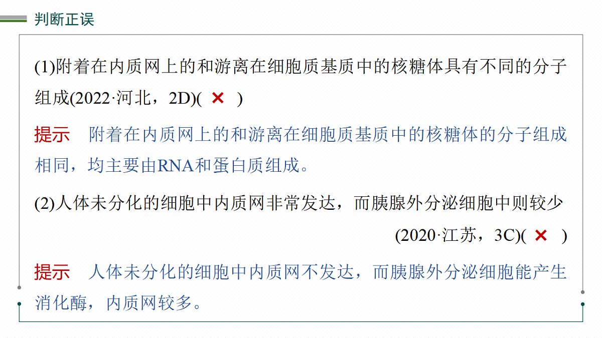 17268666第7页